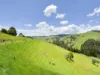 1725 Wild Dog Valley, Strzelecki, Vic 3950-Image