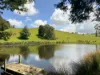 1725 Wild Dog Valley, Strzelecki, Vic 3950-Image