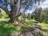 1725 Wild Dog Valley, Strzelecki, Vic 3950-Image