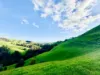 1725 Wild Dog Valley, Strzelecki, Vic 3950-Image