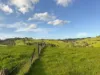 1725 Wild Dog Valley, Strzelecki, Vic 3950-Image