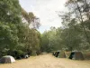 1725 Wild Dog Valley, Strzelecki, Vic 3950-Image