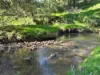 1725 Wild Dog Valley, Strzelecki, Vic 3950-Image