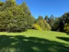 1725 Wild Dog Valley, Strzelecki, Vic 3950-Image