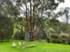 1725 Wild Dog Valley, Strzelecki, Vic 3950-Image