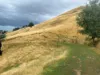 1725 Wild Dog Valley, Strzelecki, Vic 3950-Image