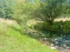 1725 Wild Dog Valley, Strzelecki, Vic 3950-Image