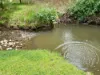 1725 Wild Dog Valley, Strzelecki, Vic 3950-Image