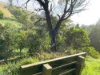 1725 Wild Dog Valley, Strzelecki, Vic 3950-Image