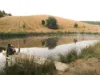 1725 Wild Dog Valley, Strzelecki, Vic 3950-Image