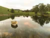1725 Wild Dog Valley, Strzelecki, Vic 3950-Image