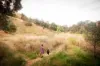 1725 Wild Dog Valley, Strzelecki, Vic 3950-Image