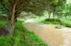 1725 Wild Dog Valley, Strzelecki, Vic 3950-Image