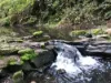 1725 Wild Dog Valley, Strzelecki, Vic 3950-Image