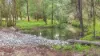 1725 Wild Dog Valley, Strzelecki, Vic 3950-Image
