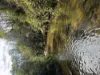 1725 Wild Dog Valley, Strzelecki, Vic 3950-Image