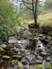 1725 Wild Dog Valley, Strzelecki, Vic 3950-Image