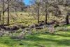 174/2652 Ilford Sofala Road, Sofala, NSW 2795-Image