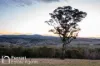 174 Emu Swamp Road, Orange, NSW 2800-Image