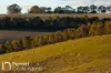 174 Emu Swamp Road, Orange, NSW 2800-Image