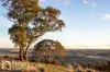 174 Emu Swamp Road, Orange, NSW 2800-Image