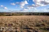174 Emu Swamp Road, Orange, NSW 2800-Image