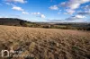 174 Emu Swamp Road, Orange, NSW 2800-Image