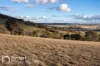 174 Emu Swamp Road, Orange, NSW 2800-Image