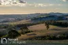174 Emu Swamp Road, Orange, NSW 2800-Image