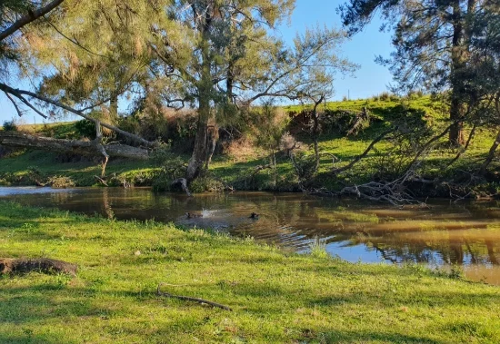 1741 Bukkulla Road, Ashford, NSW 2361 - For Sale