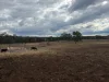 1741 Bukkulla Road, Ashford, NSW 2361-Image