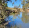 1741 Bukkulla Road, Ashford, NSW 2361-Image