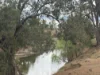 1741 Bukkulla Road, Ashford, NSW 2361-Image