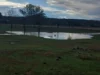 1741 Bukkulla Road, Ashford, NSW 2361-Image