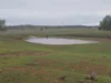 1741 Bukkulla Road, Ashford, NSW 2361-Image