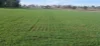 1741 Bukkulla Road, Ashford, NSW 2361-Image