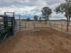 1741 Bukkulla Road, Ashford, NSW 2361-Image