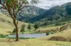 1746, Stewarts Brook NSW 2337-Image