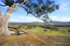 175 Flat Lead Road, Yea, Vic 3717-Image