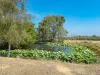 176 Woods Road, Nikenbah, Qld 4655-Image