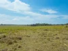 176 Woods Road, Nikenbah, Qld 4655-Image