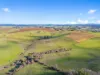177 Braddons Lookout Road, Leith, Tas 7315-Image