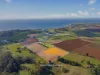 177 Braddons Lookout Road, Leith, Tas 7315-Image