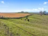 177 Braddons Lookout Road, Leith, Tas 7315-Image