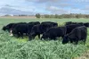 178 Nollers Road, Silverleigh, Qld 4401-Image