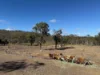 17940 Kennedy Highway, Mount Garnet QLD 4872-Image