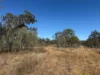 17940 Kennedy Highway, Mount Garnet QLD 4872-Image