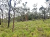 17940 Kennedy Highway, Mount Garnet QLD 4872-Image