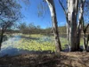 17940 Kennedy Highway, Mount Garnet QLD 4872-Image