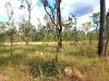17940 Kennedy Highway, Mount Garnet QLD 4872-Image